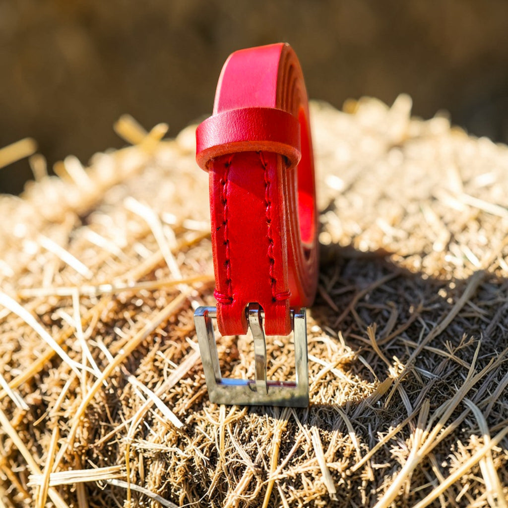 Ceinture rouge - argent brillant - 1,8 cm Cuir et Loulous