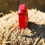 Ceinture rouge - argent brillant - 1,8 cm Cuir et Loulous