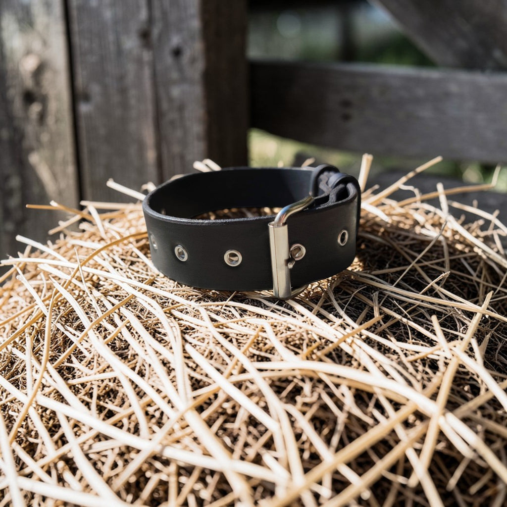 Colliers sans cloche Cuir et Loulous
