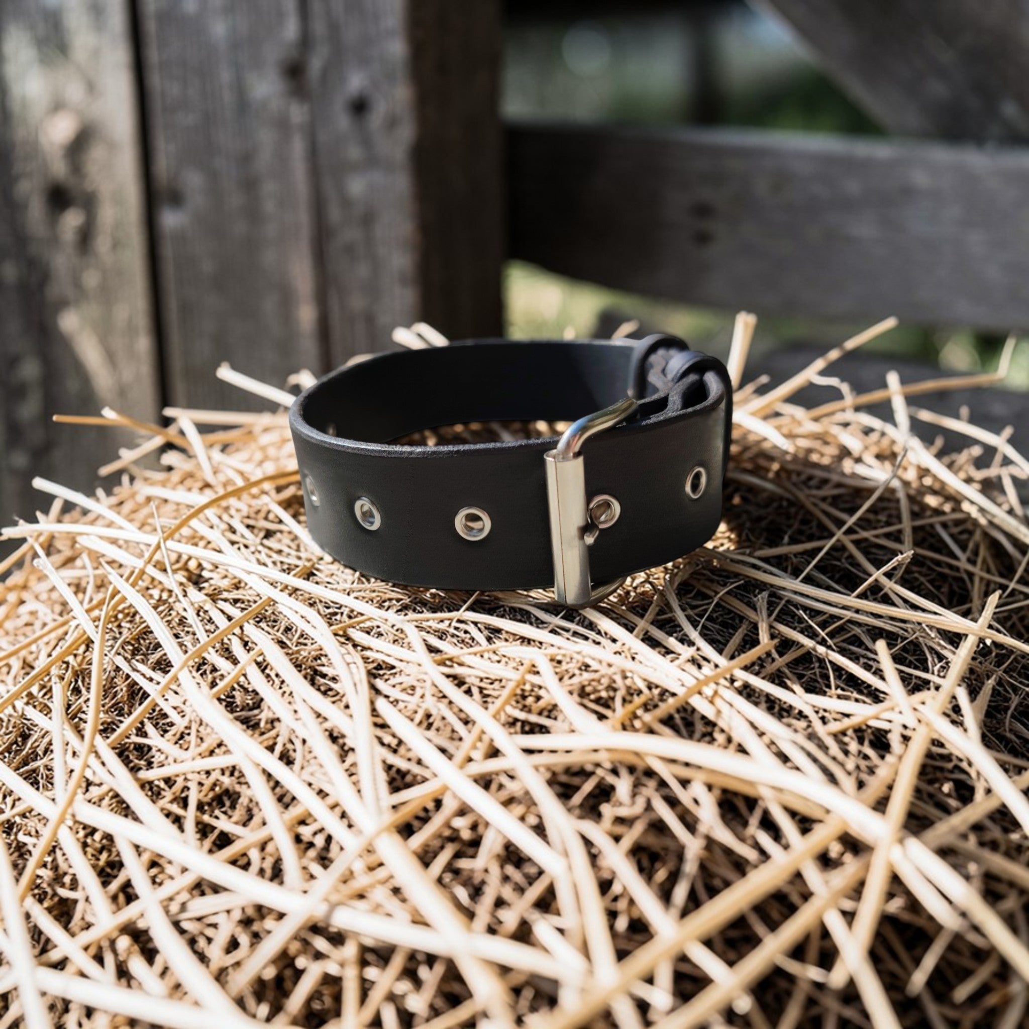 Colliers sans cloche Cuir et Loulous