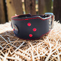 Collier Colosse, taille L (38-46cm) Cuir et Loulous