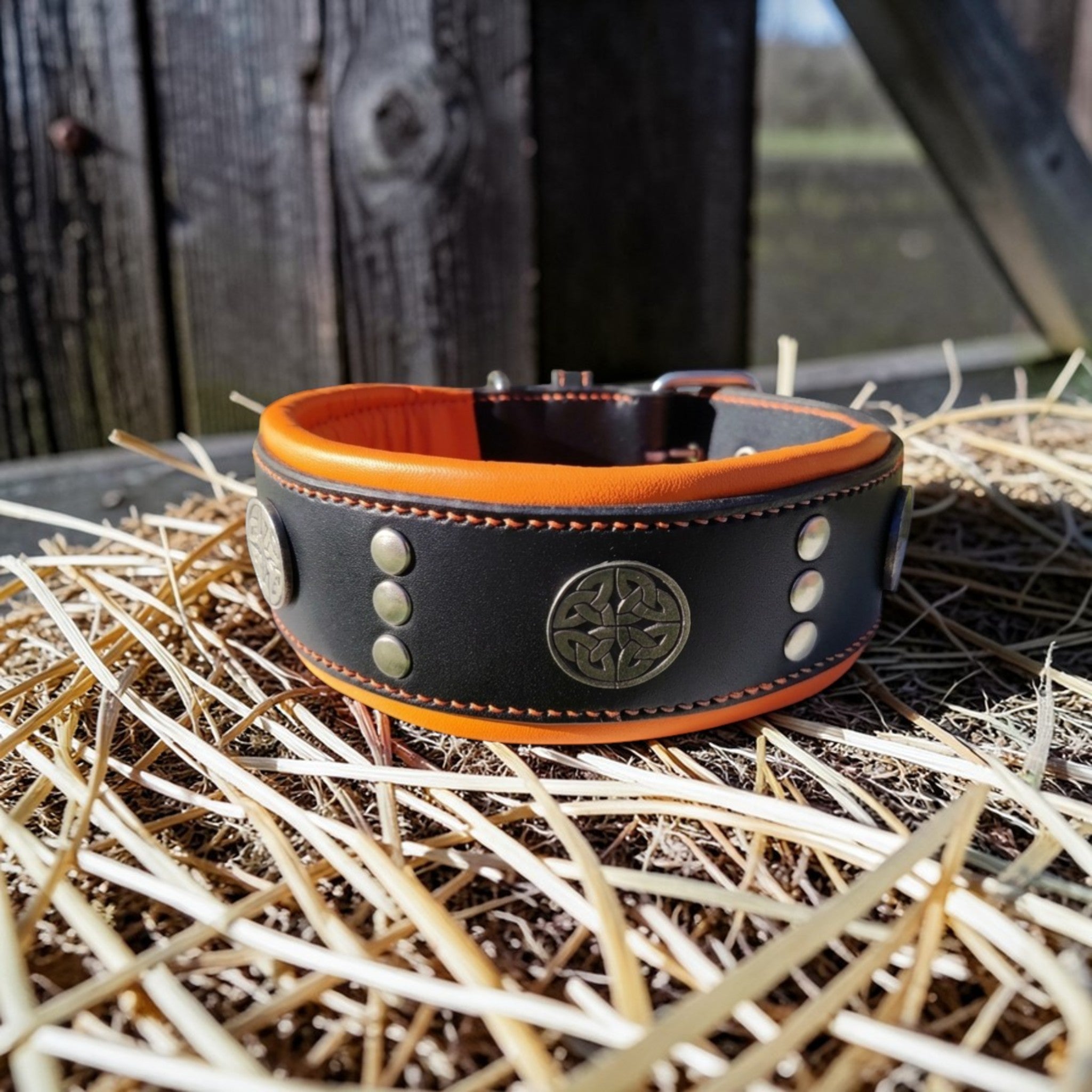 Collier artisanal en cuir noir avec une doublure et des coutures oranges et de la décoration celtique (conchos et rivets). Largeur 5 cm. Taille L (Staffy). Commande personnalisée.