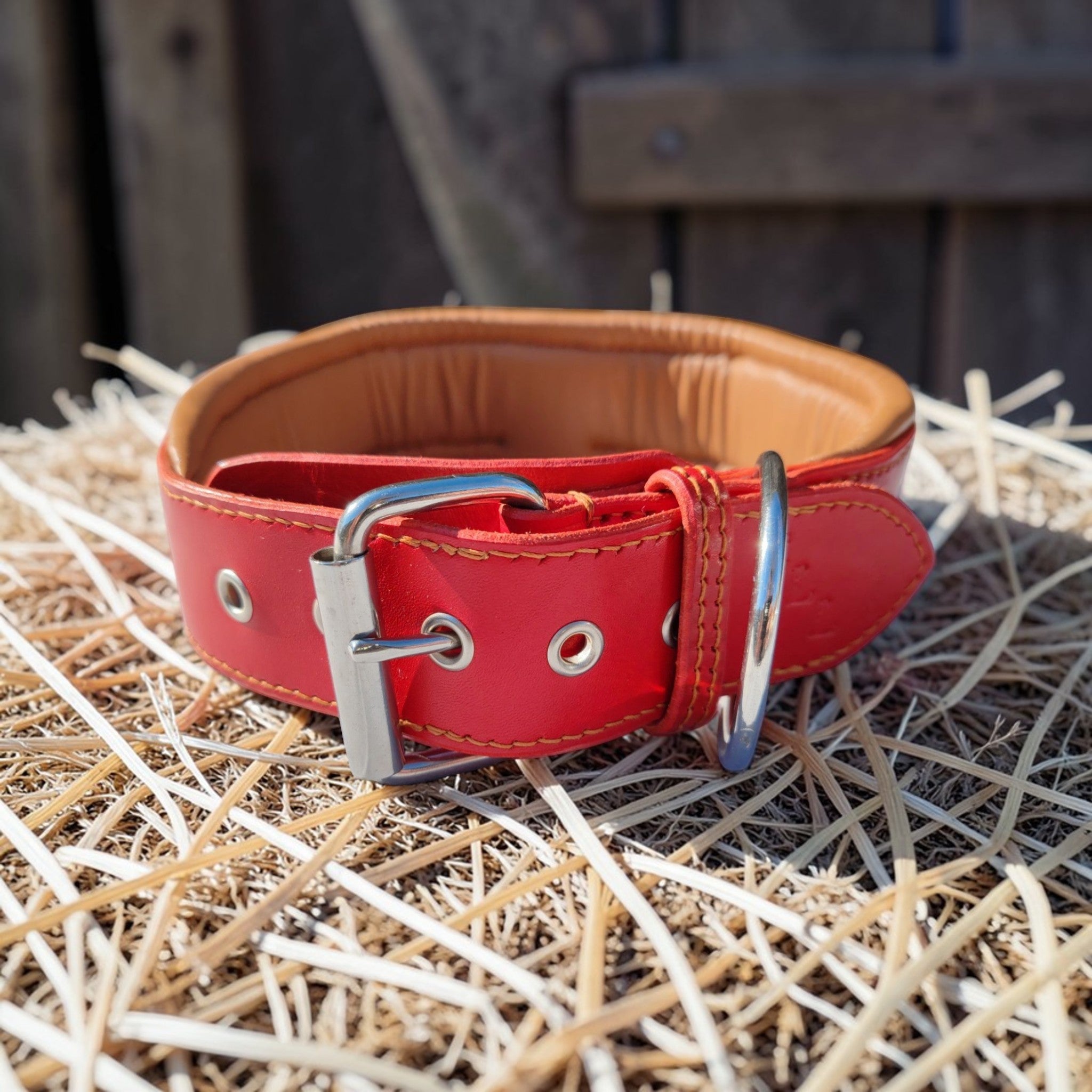 Collier Colosse avec poignée, taille XL (53-60 cm) Cuir et Loulous