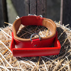 Collier Colosse avec poignée, taille XL (53-60 cm) Cuir et Loulous