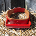 Collier Colosse avec poignée, taille XL (53-60 cm) Cuir et Loulous