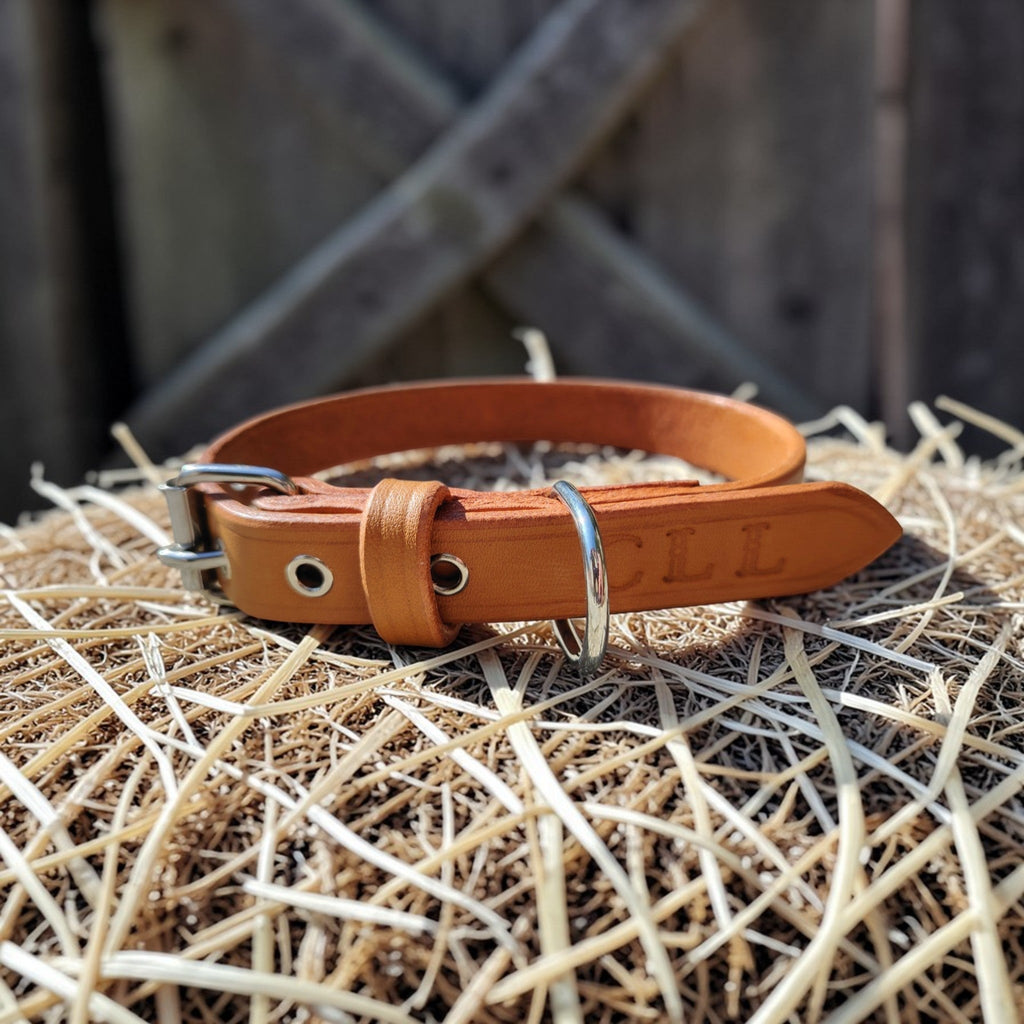 Collier Essentiel, taille M (29-37 cm) Cuir et Loulous