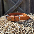 Collier Essentiel, taille M (29-37 cm) Cuir et Loulous