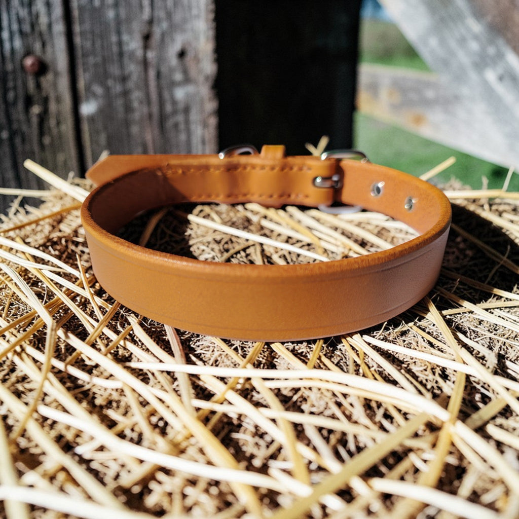 Collier Essentiel, taille M (29-37 cm) Cuir et Loulous