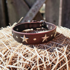 Collier Essentiel, taille M (29-37 cm) Cuir et Loulous