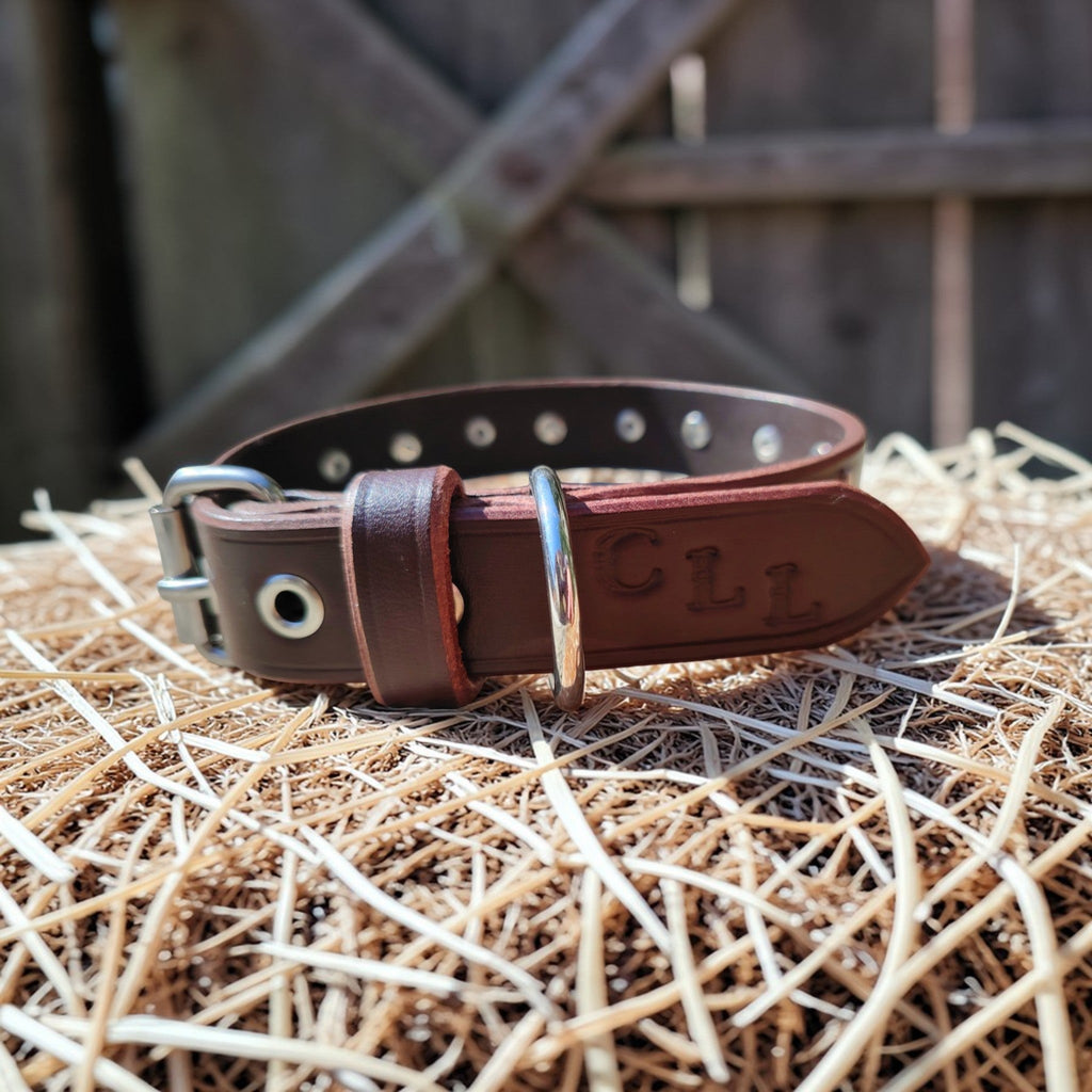 Collier Essentiel, taille M (29-37 cm) Cuir et Loulous