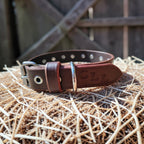 Collier Essentiel, taille M (29-37 cm) Cuir et Loulous