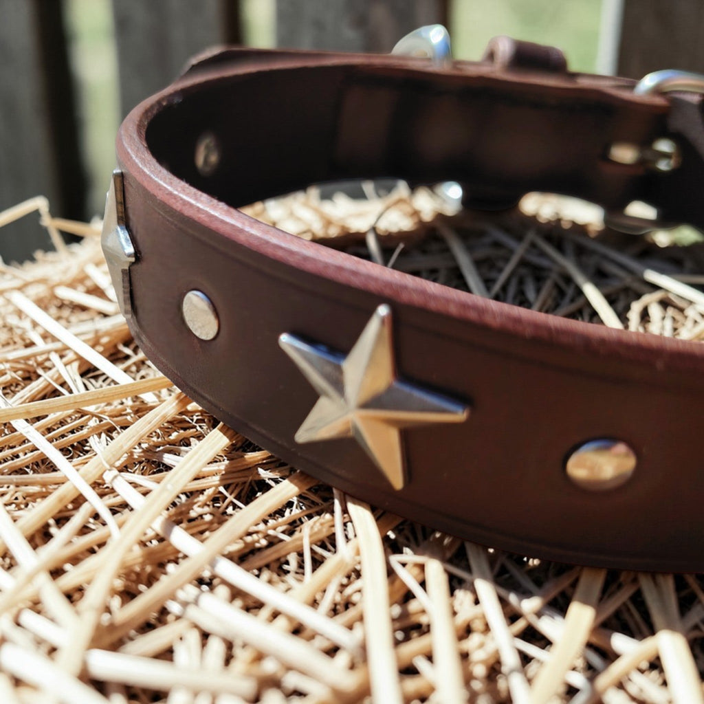 Collier Essentiel, taille M (29-37 cm) Cuir et Loulous