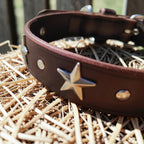 Collier Essentiel, taille M (29-37 cm) Cuir et Loulous