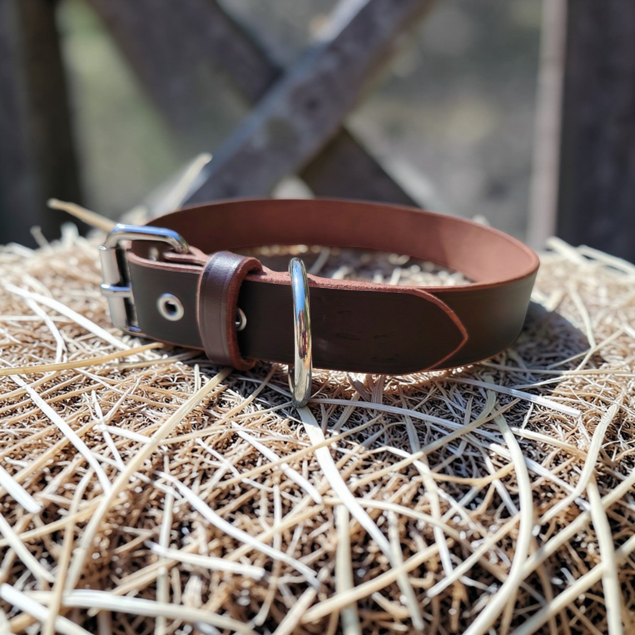 Collier Essentiel, taille L (44-55 cm) Cuir et Loulous