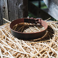 Collier Essentiel, taille L (44-55 cm) Cuir et Loulous