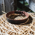 Collier Essentiel, taille L (44-55 cm) Cuir et Loulous