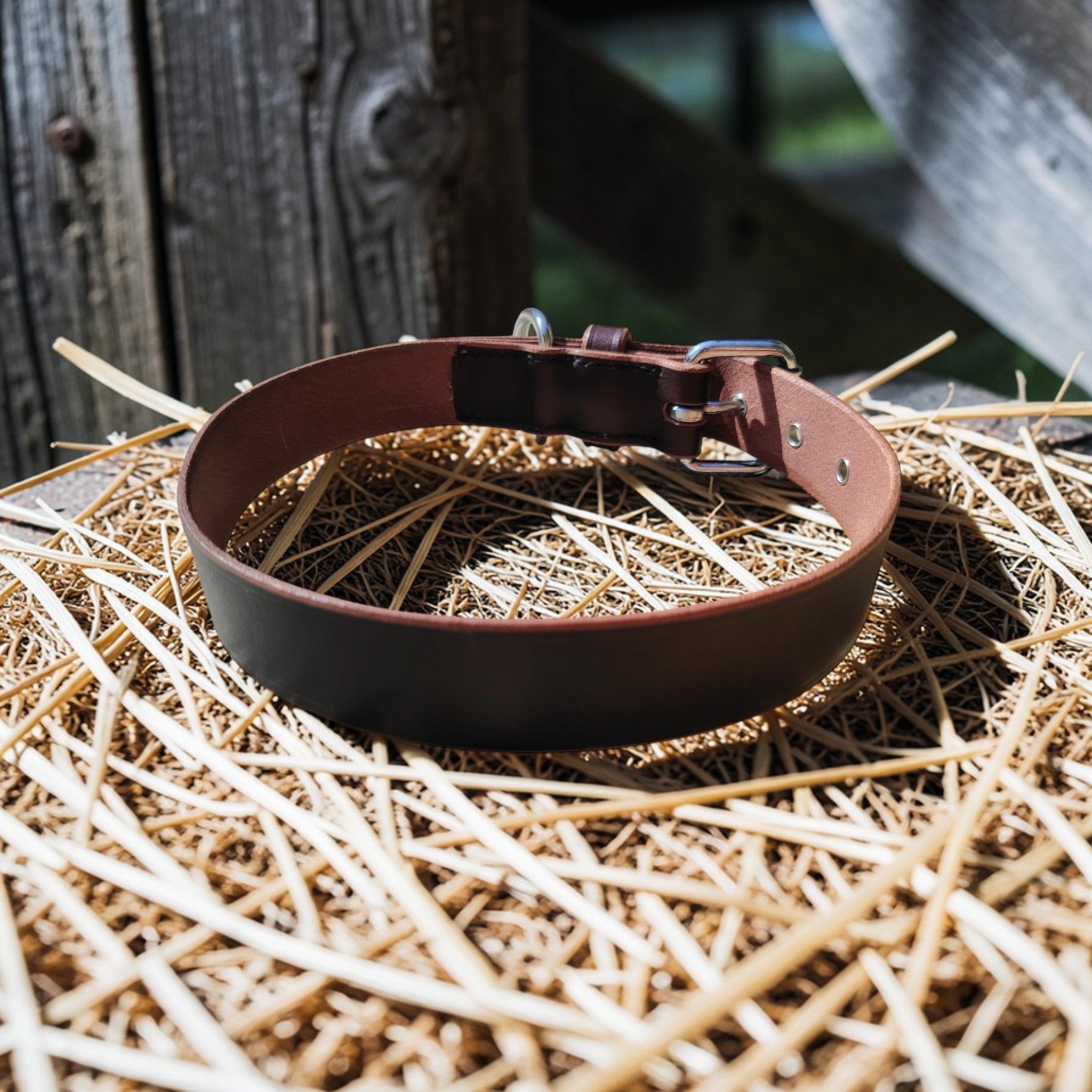 Collier Essentiel, taille L (44-55 cm) Cuir et Loulous