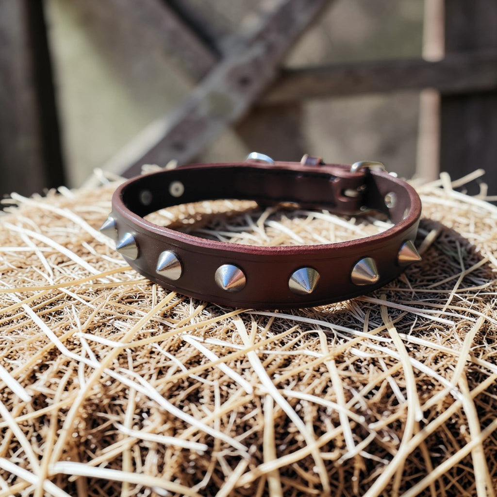 Collier Essentiel, taille M (30-38 cm) Cuir et Loulous