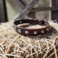 Collier Essentiel, taille M (30-38 cm) Cuir et Loulous