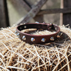 Collier Essentiel, taille M (30-38 cm) Cuir et Loulous