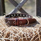 Collier Essentiel, taille M (30-38 cm) Cuir et Loulous