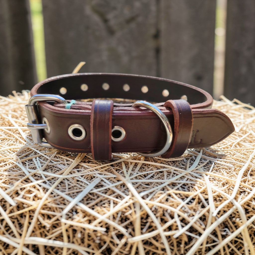 Collier Essentiel, taille M (29-38 cm) Cuir et Loulous