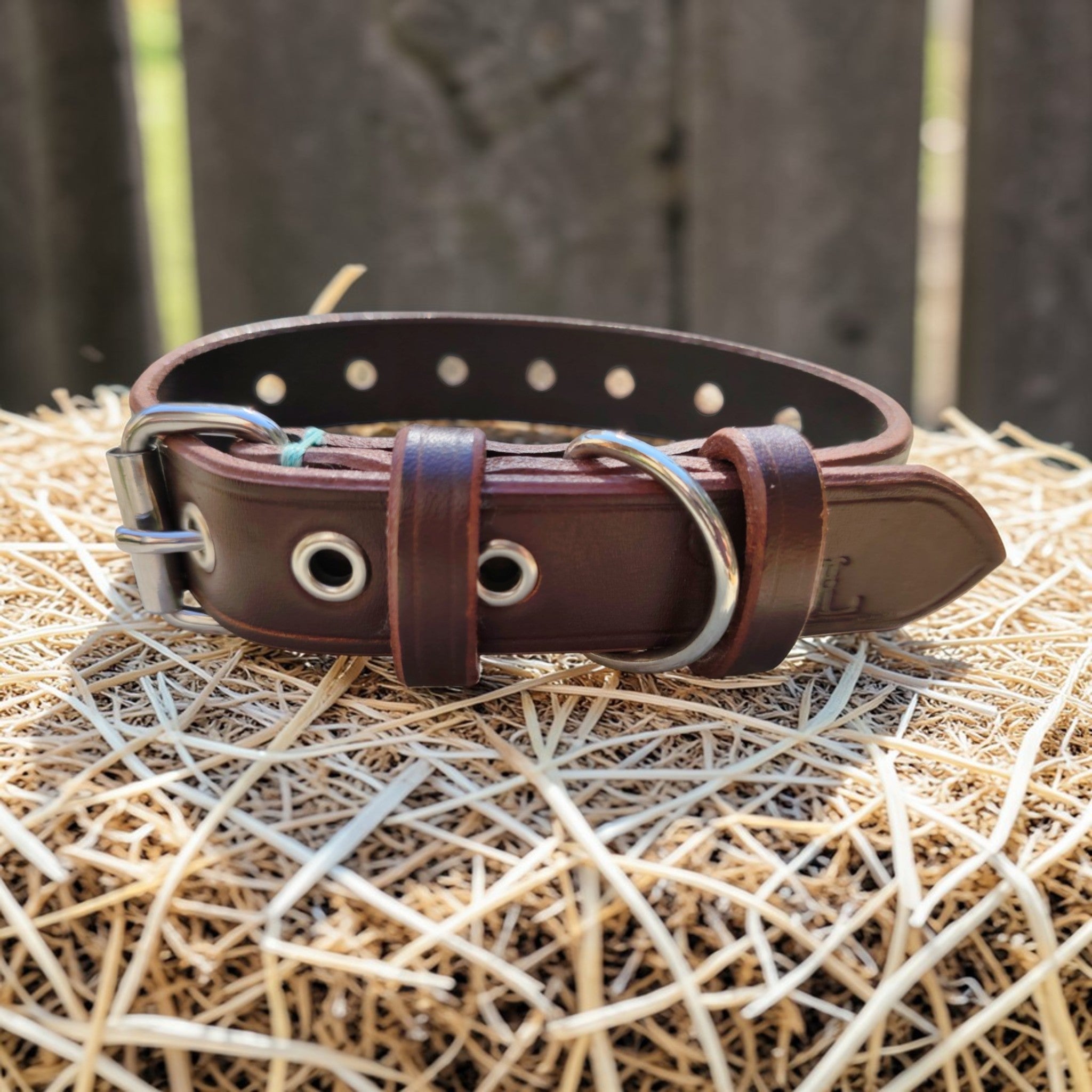 Collier Essentiel, taille M (29-38 cm) Cuir et Loulous