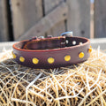 Collier Essentiel, taille M (29-38 cm) Cuir et Loulous