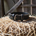 Collier Essentiel, taille M (29-36 cm) Cuir et Loulous