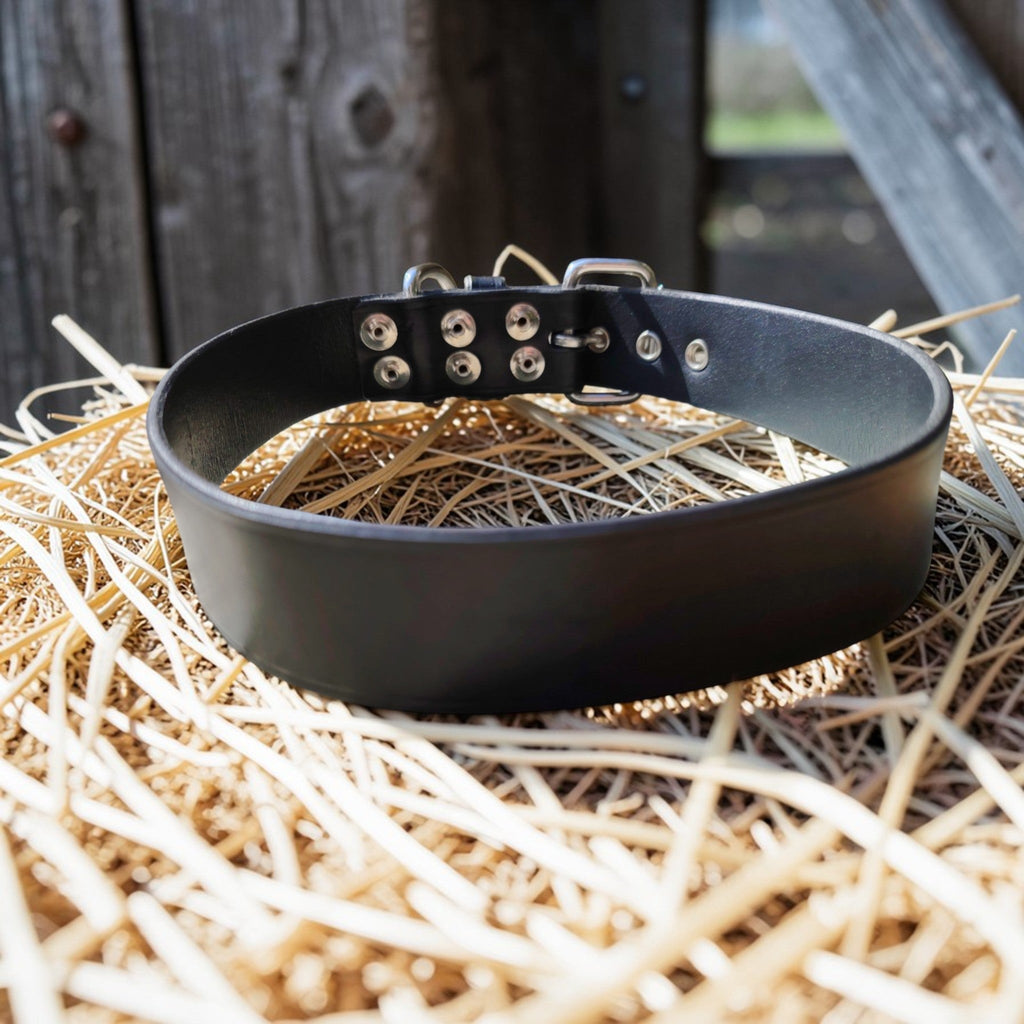 Collier Essentiel, taille XL (49-57 cm) Cuir et Loulous