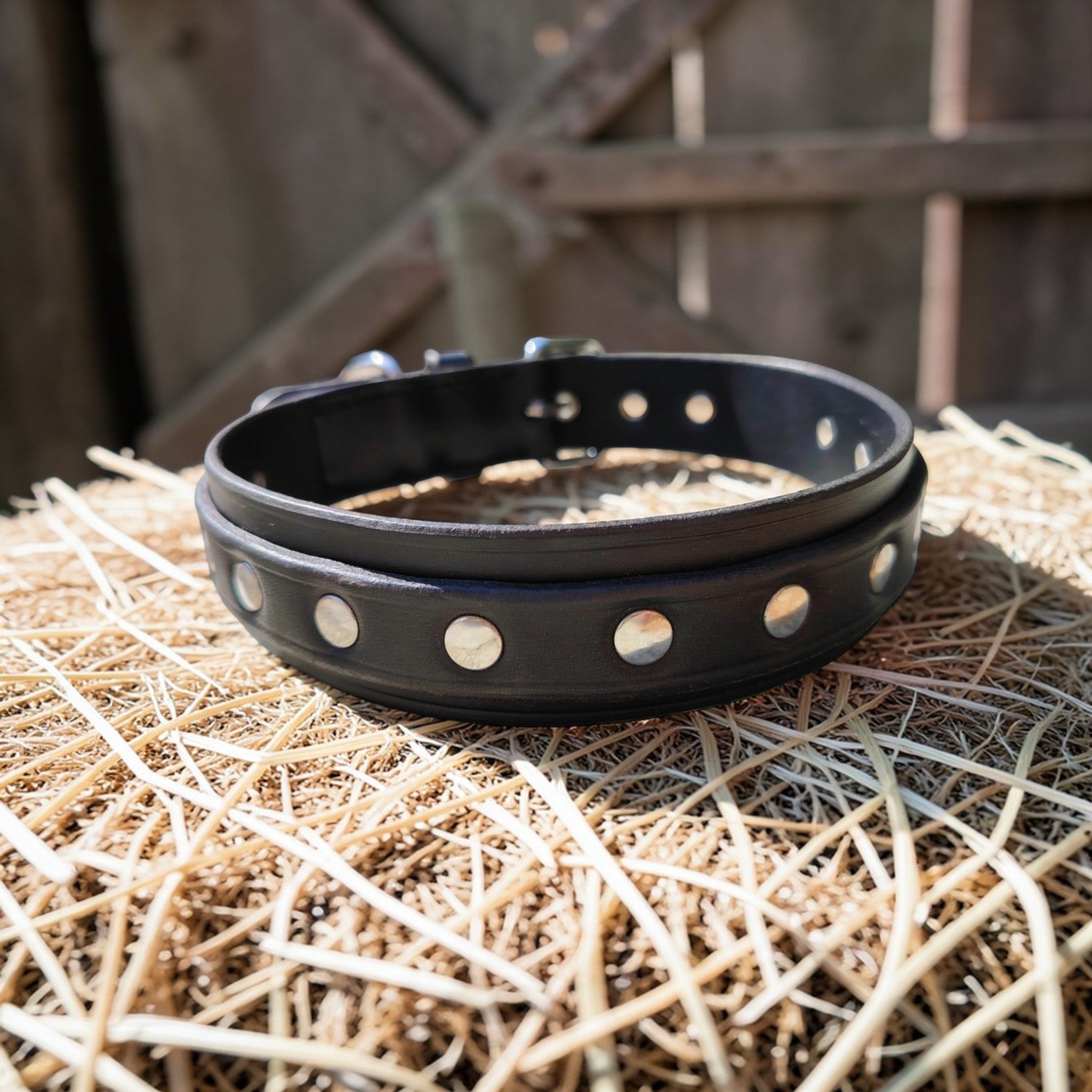 Collier Essentiel, taille XL (45-54 cm) Cuir et Loulous
