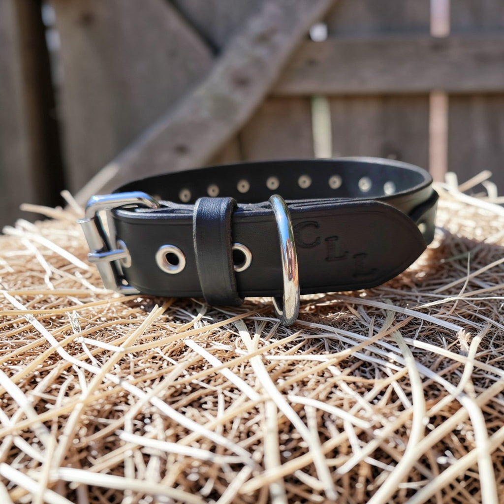 Collier Essentiel, taille XL (45-54 cm) Cuir et Loulous
