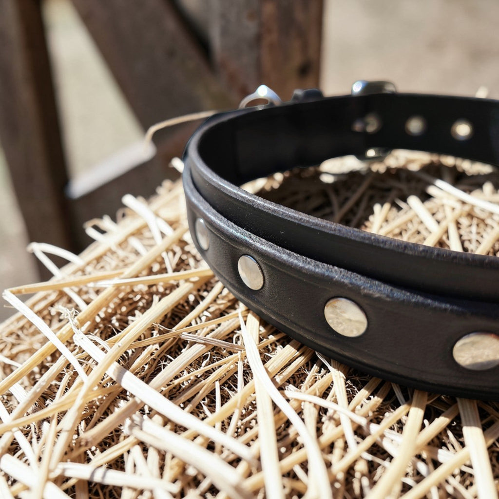 Collier Essentiel, taille XL (45-54 cm) Cuir et Loulous