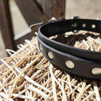 Collier Essentiel, taille XL (45-54 cm) Cuir et Loulous