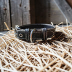 Collier Essentiel, taille M (30-38 cm) Cuir et Loulous