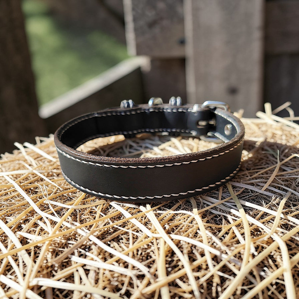 Collier Essentiel, taille M (30-38 cm) Cuir et Loulous