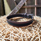 Collier Essentiel, taille M (29-38 cm) Cuir et Loulous