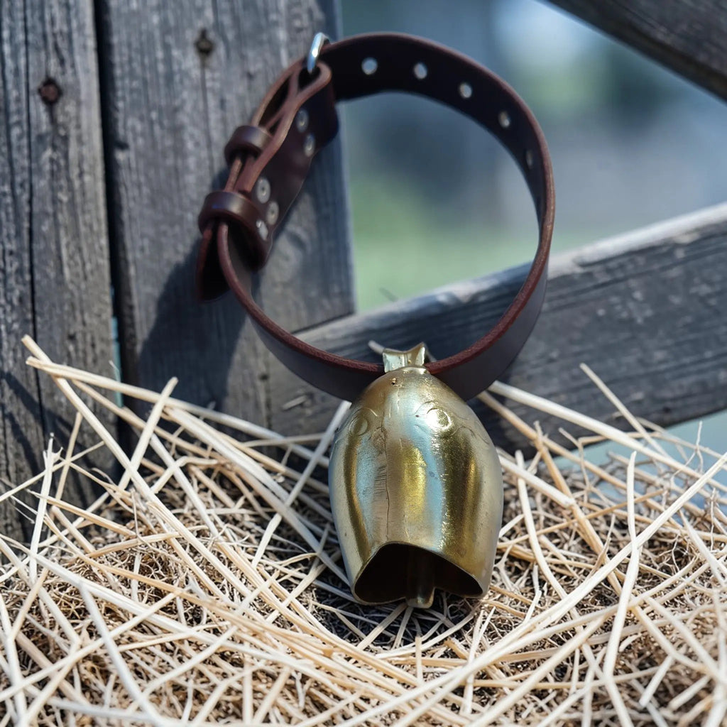 Colliers avec cloche Cuir et Loulous
