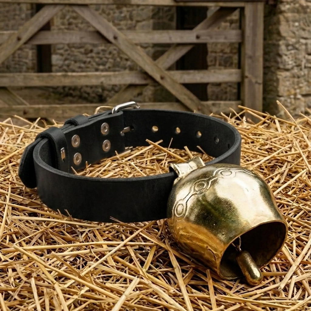 Colliers avec cloche Cuir et Loulous