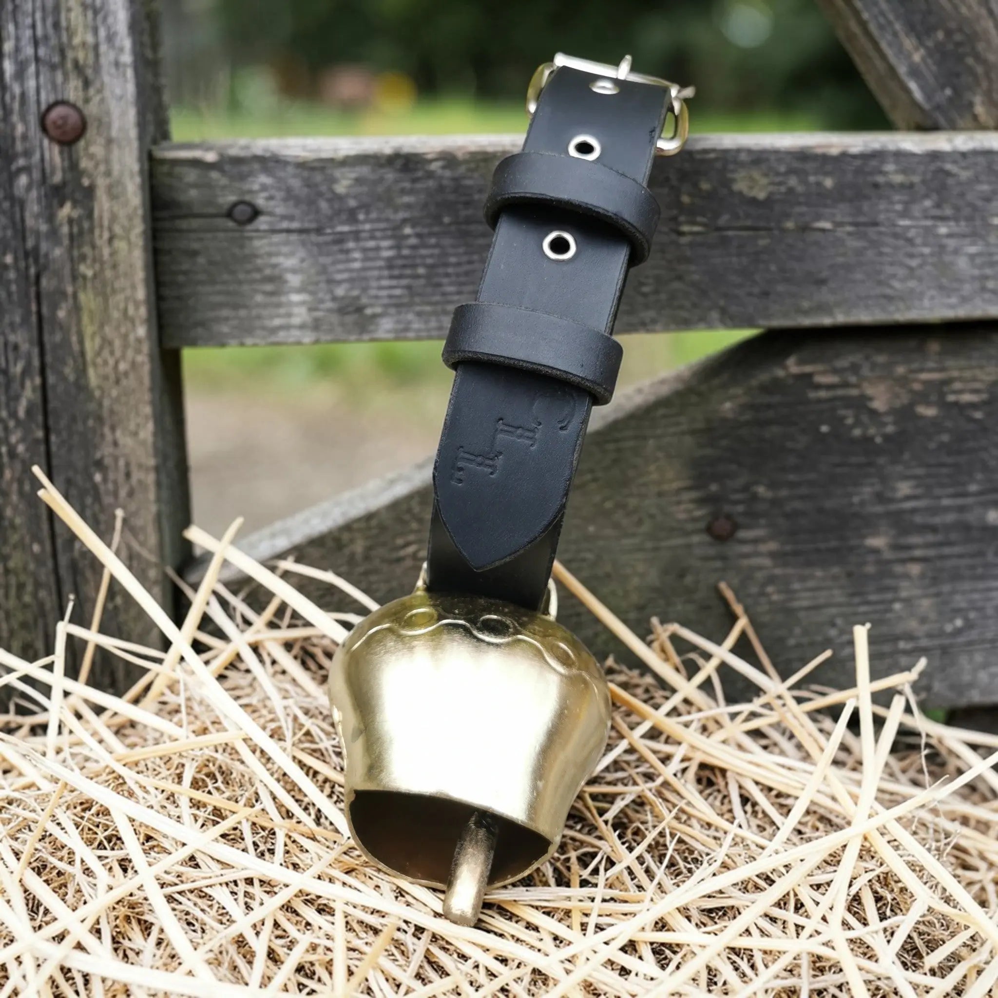 Colliers avec cloche Cuir et Loulous