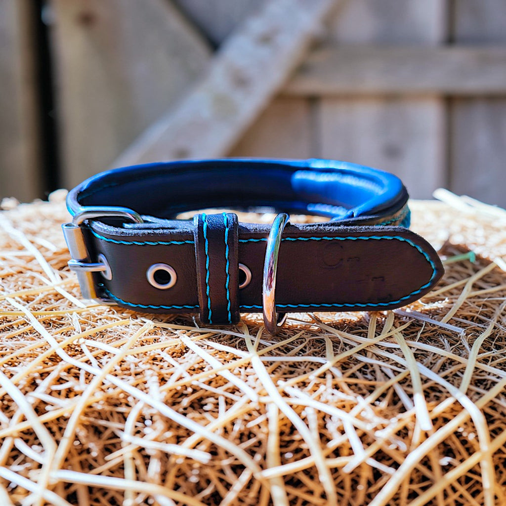 Collier Prestige, taille XL (46-55 cm) Cuir et Loulous