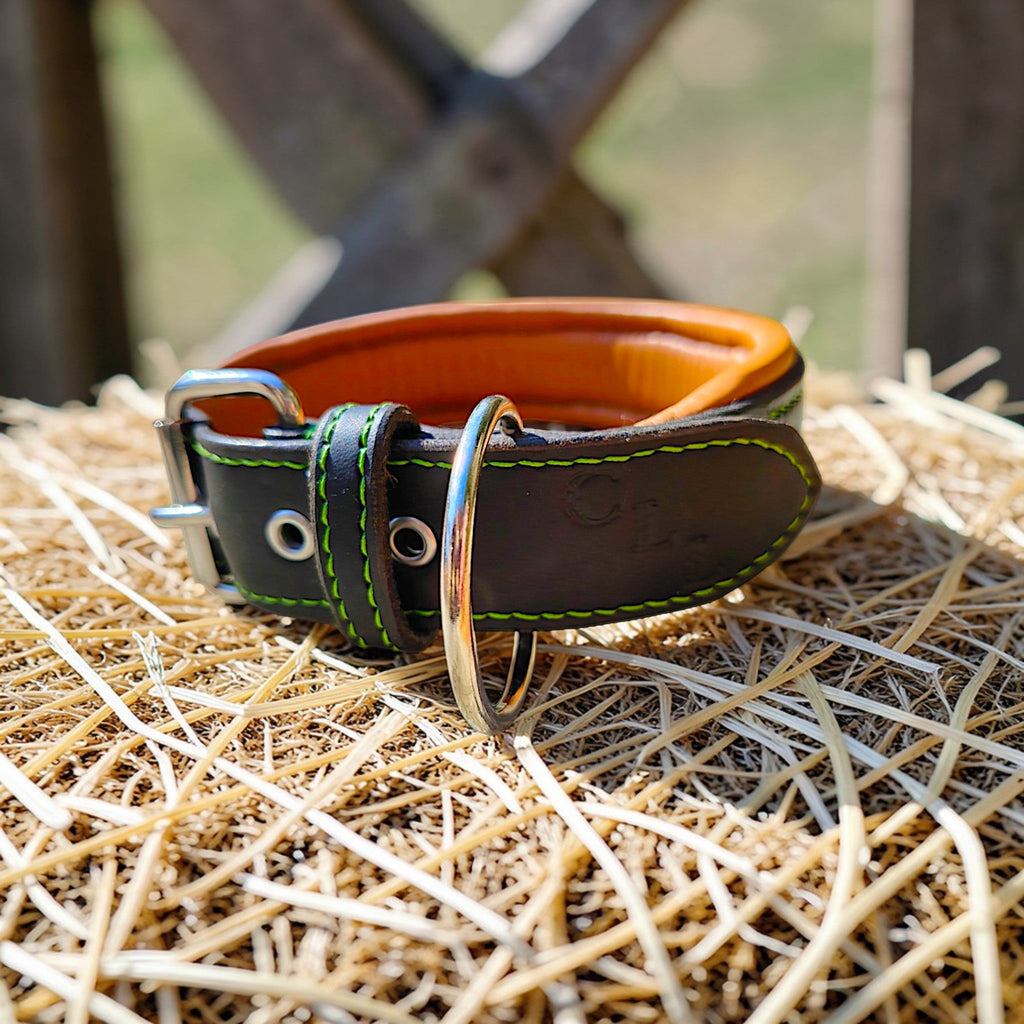 Collier Prestige, taille L (38-47 cm) Cuir et Loulous