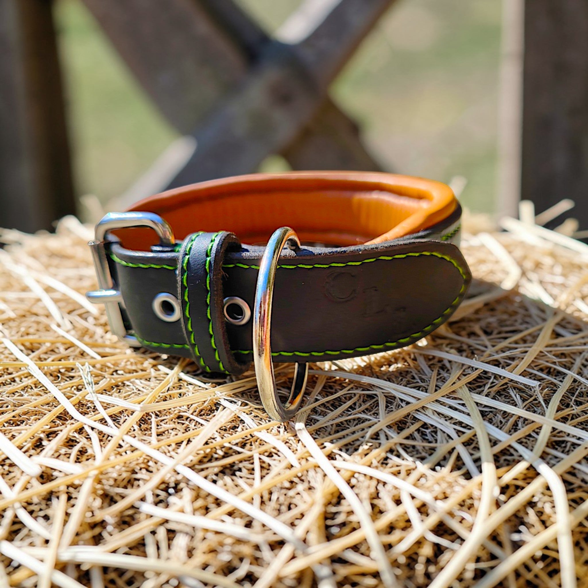 Collier Prestige, taille L (38-47 cm) Cuir et Loulous