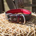 Collier Prestige, taille XL (41-53cm) Cuir et Loulous