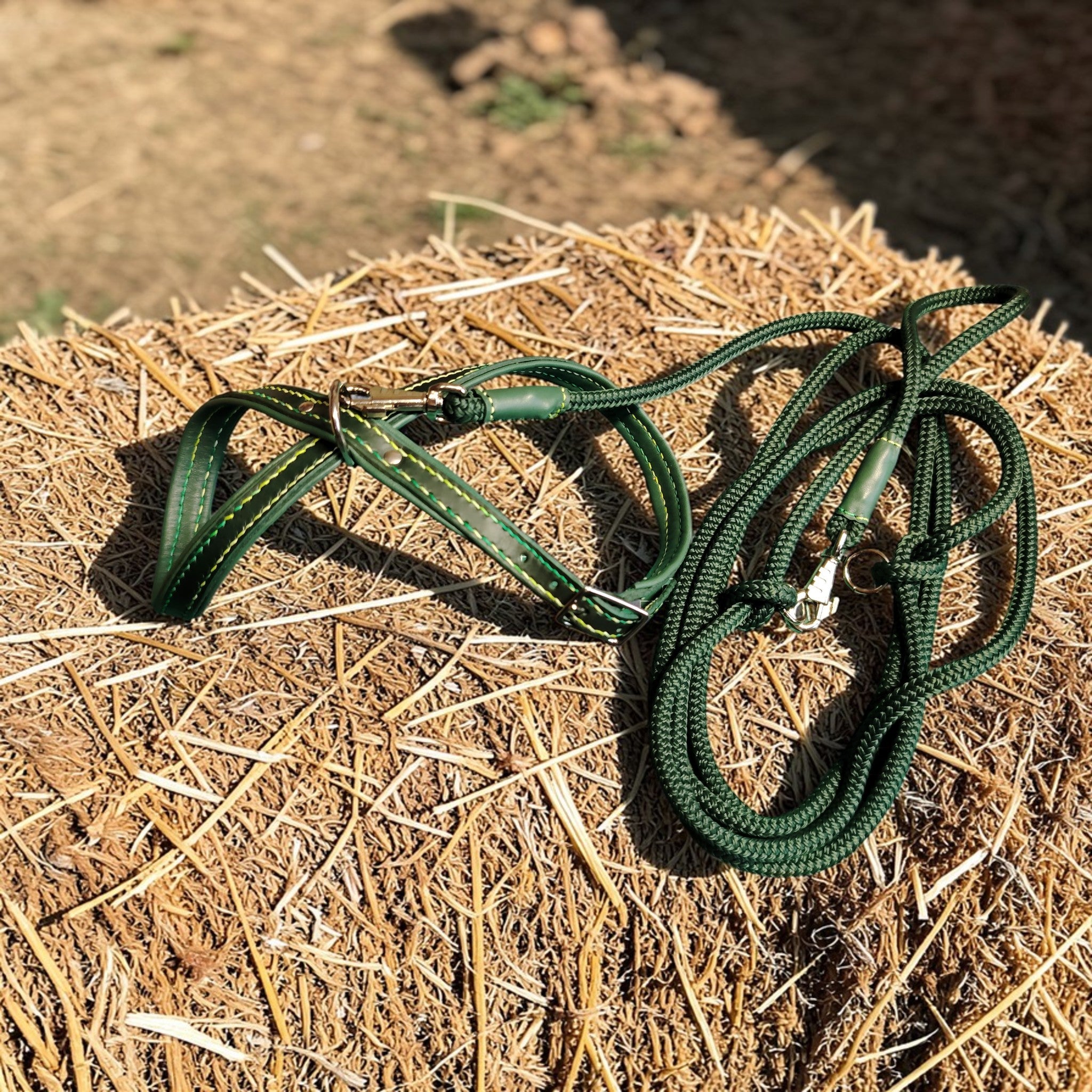 Harnais artisanal en 8 couleur vert sapin (cuir de 2mm d'épaisseur) avec doublure vert sapin et coutures en dégradé de vert. Taille S (Chihuahua). Commande personnalisée avec la laisse assortie en corde.