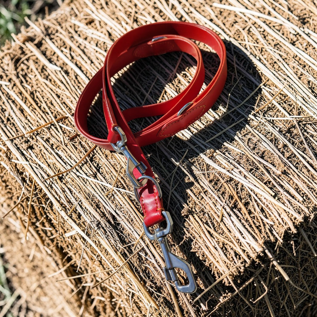 Laisse rouge 2,5 m - multiposition - 2,5 cm de large Cuir et Loulous