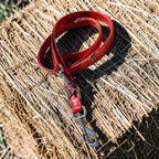 Laisse rouge 2,5 m - multiposition - 2,5 cm de large Cuir et Loulous