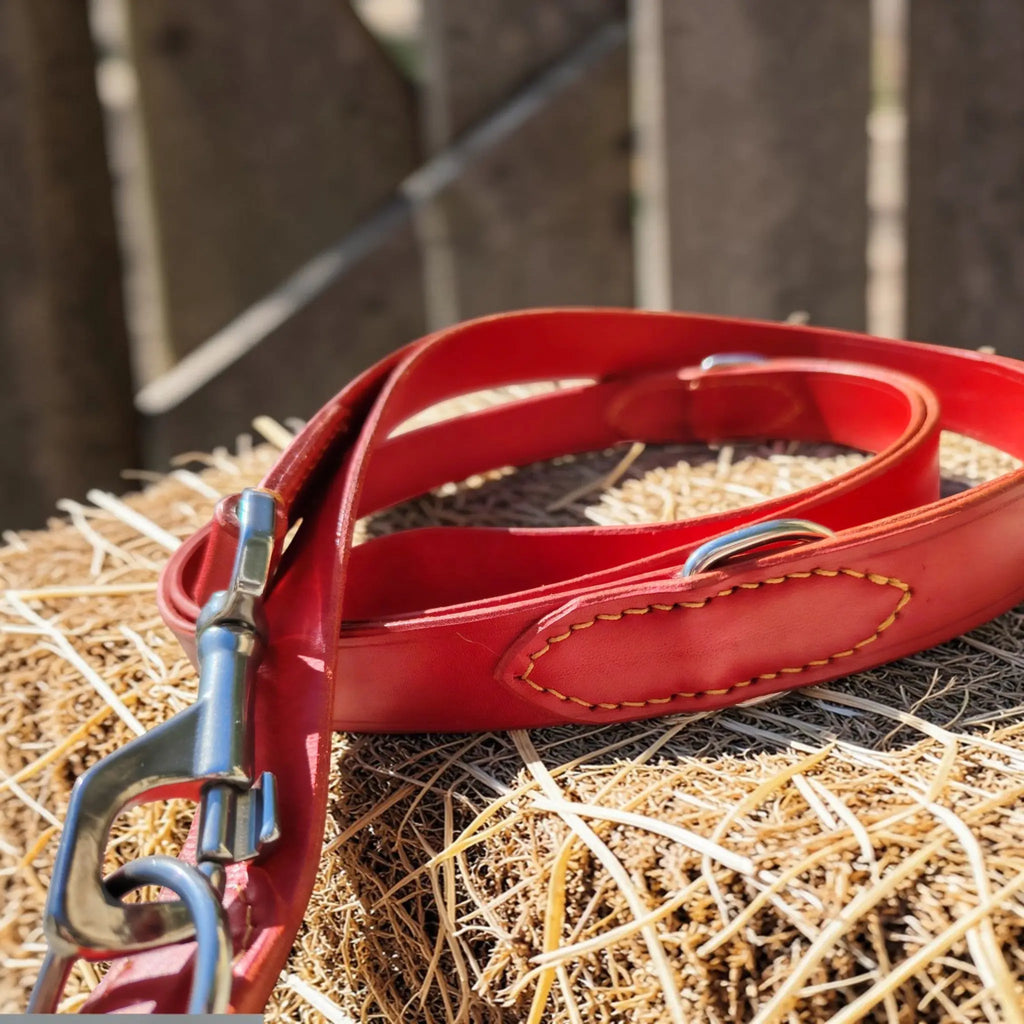 Laisses en cuir multipostions - 2,50m Cuir et Loulous
