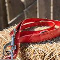 Laisses en cuir multipostions - 2,50m Cuir et Loulous