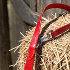 Laisses en cuir multipostions - 2,50m Cuir et Loulous